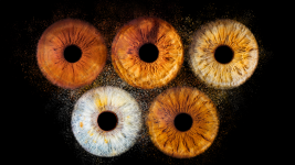 Antoine & Céline RICHARD - MADEMOISELLE R ET MONSIEUR P