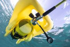 Martin VIZIBLE - Martin Vizible