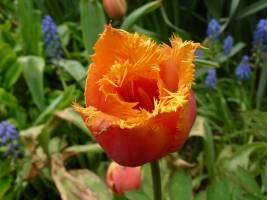 Brigitte VALENTIN - Chez Brigitte